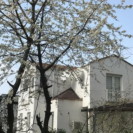 Villa Ata Atakent *